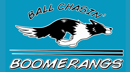 flyball team t-shirt redesign 2016 (back)