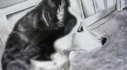 charcoal on gesso