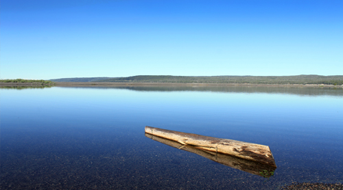 digital photography - Yellowstone