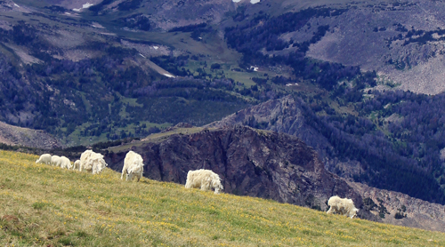 digital photography - Beartooth Highway