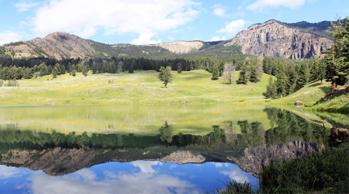 digital photography - Trout Lake, Yellowstone