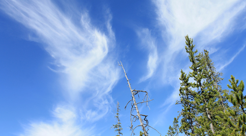 digital photography - Yellowstone